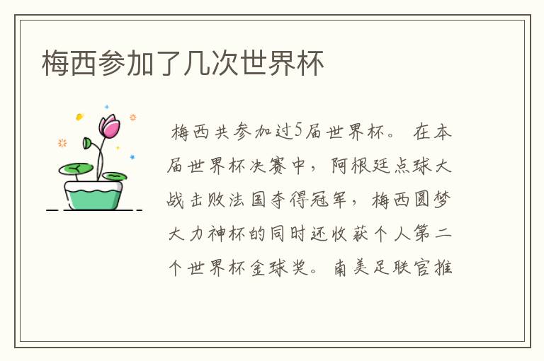 梅西参加了几次世界杯