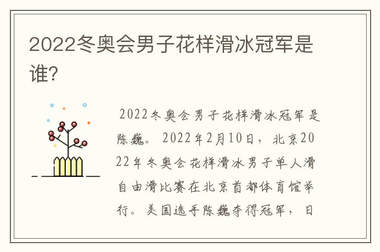 2022冬奥会男子花样滑冰冠军是谁?