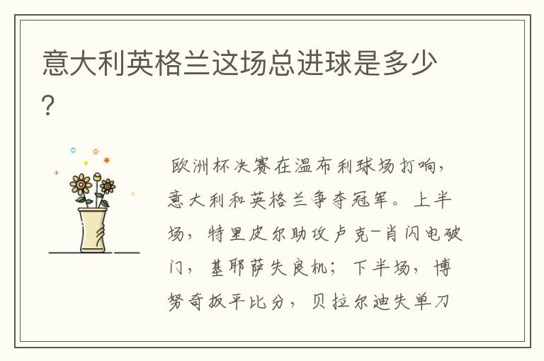 意大利英格兰这场总进球是多少?
