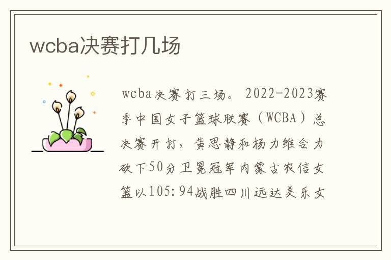 wcba决赛打几场