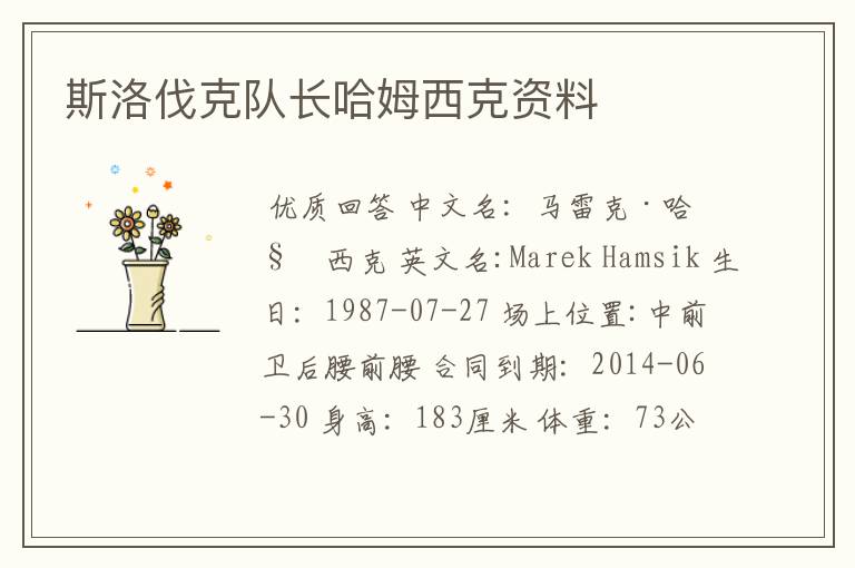 斯洛伐克队长哈姆西克资料