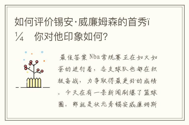 如何评价锡安·威廉姆森的首秀,你对他印象如何?