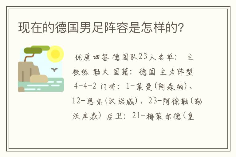 现在的德国男足阵容是怎样的?