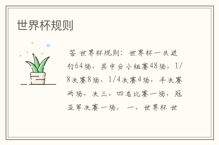 世界杯规则