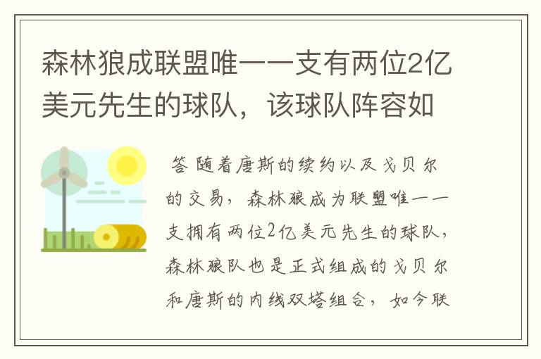 森林狼成联盟唯一一支有两位2亿美元先生的球队,该球队阵容如何?