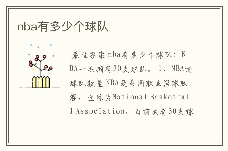 nba有多少个球队