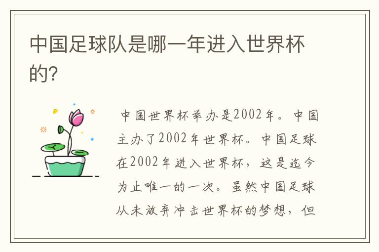 中国足球队是哪一年进入世界杯的?