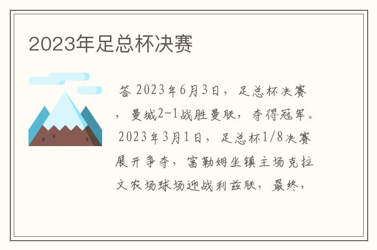 2023年足总杯决赛
