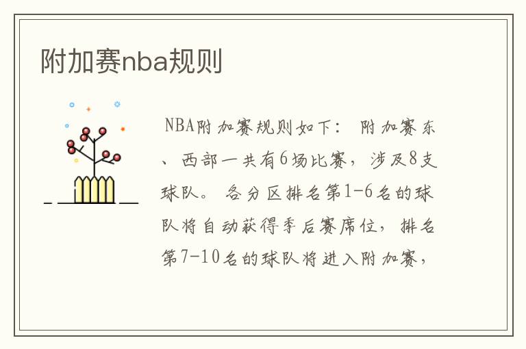 附加赛nba规则