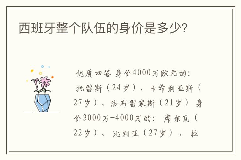 西班牙整个队伍的身价是多少?