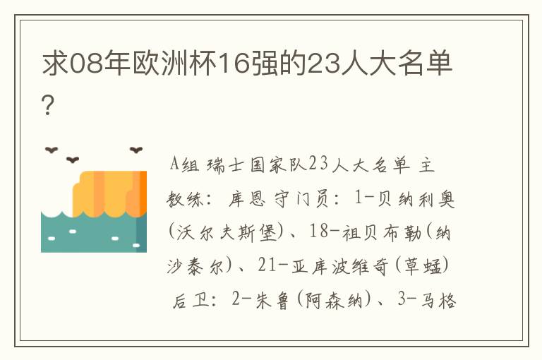 求08年欧洲杯16强的23人大名单?