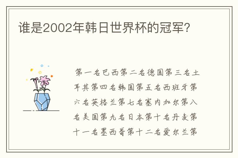 谁是2002年韩日世界杯的冠军?
