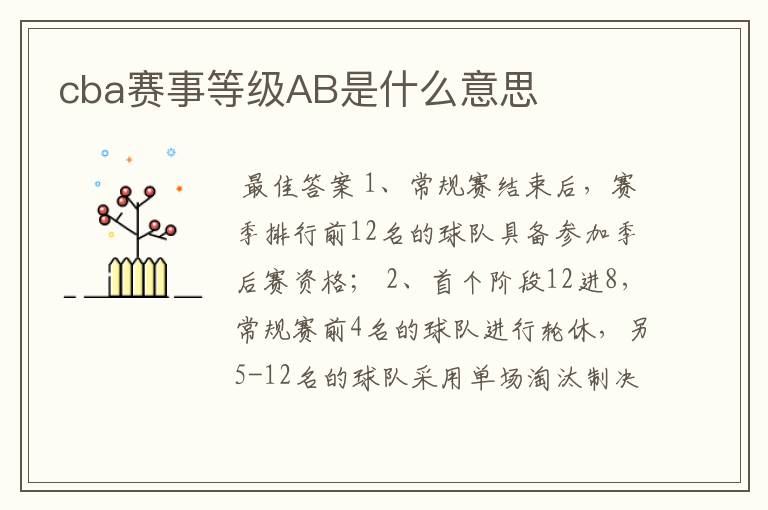 cba赛事等级AB是什么意思