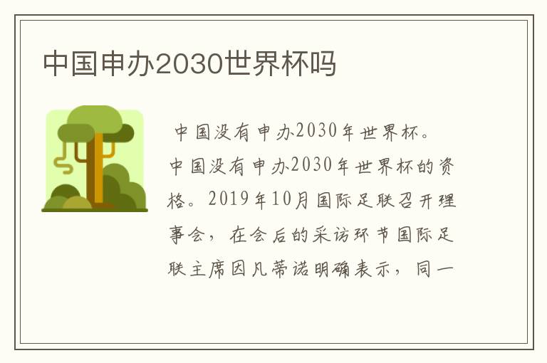 中国申办2030世界杯吗