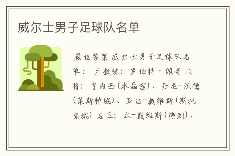 威尔士男子足球队名单