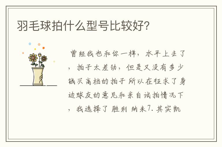 羽毛球拍什么型号比较好?