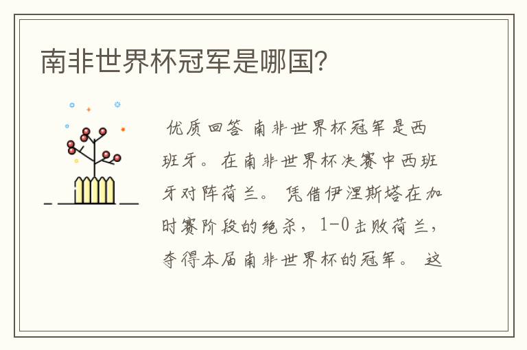 南非世界杯冠军是哪国？