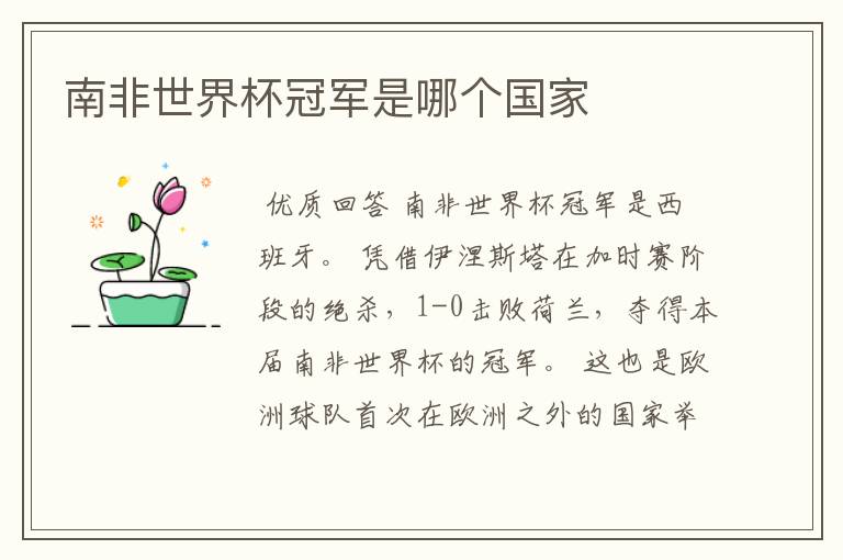 南非世界杯冠军是哪个国家