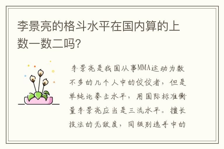李景亮的格斗水平在国内算的上数一数二吗?