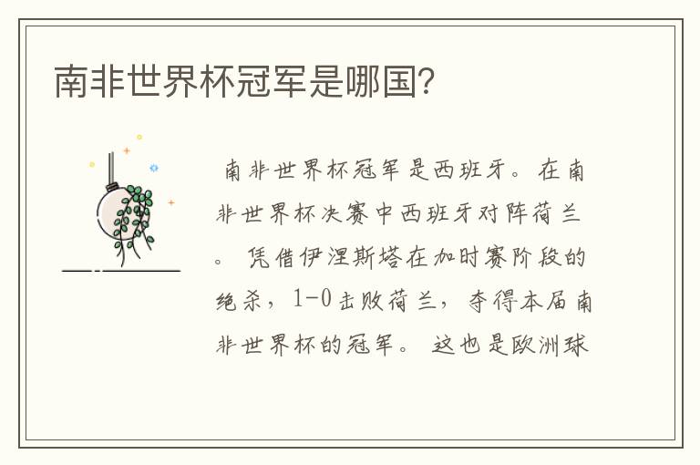 南非世界杯冠军是哪国？