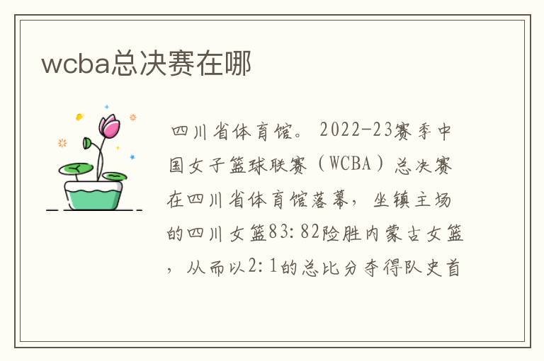 wcba总决赛在哪