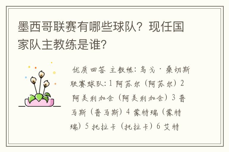墨西哥联赛有哪些球队?现任国家队主教练是谁?