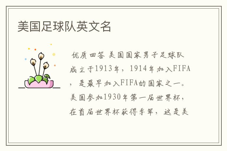 美国足球队英文名