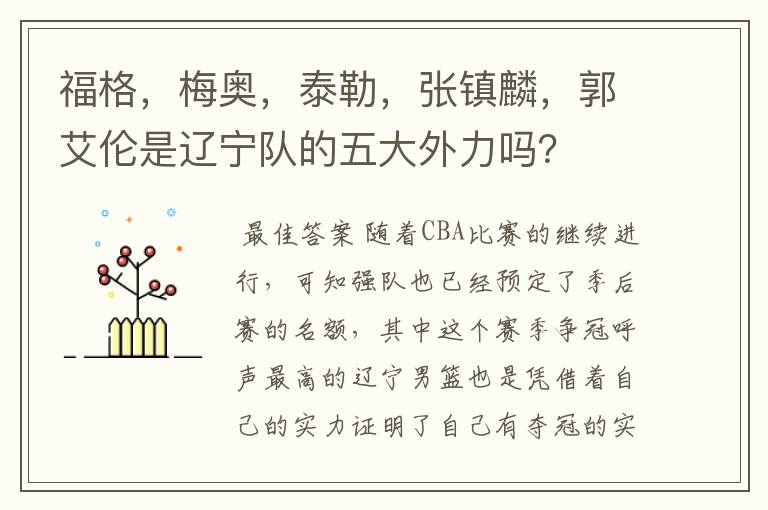 福格,梅奥,泰勒,张镇麟,郭艾伦是辽宁队的五大外力吗?