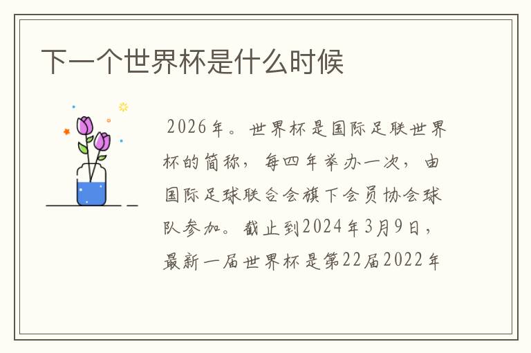 下一个世界杯是什么时候