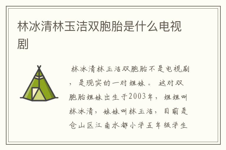 林冰清林玉洁双胞胎是什么电视剧