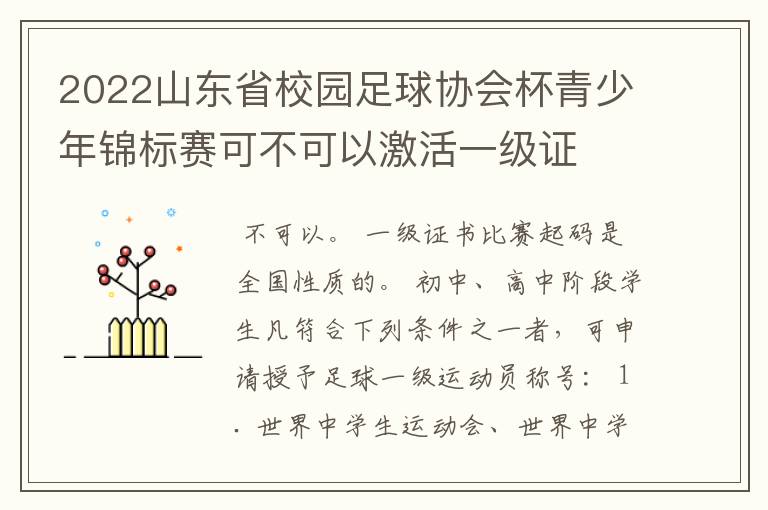 2022山东省校园足球协会杯青少年锦标赛可不可以激活一级证