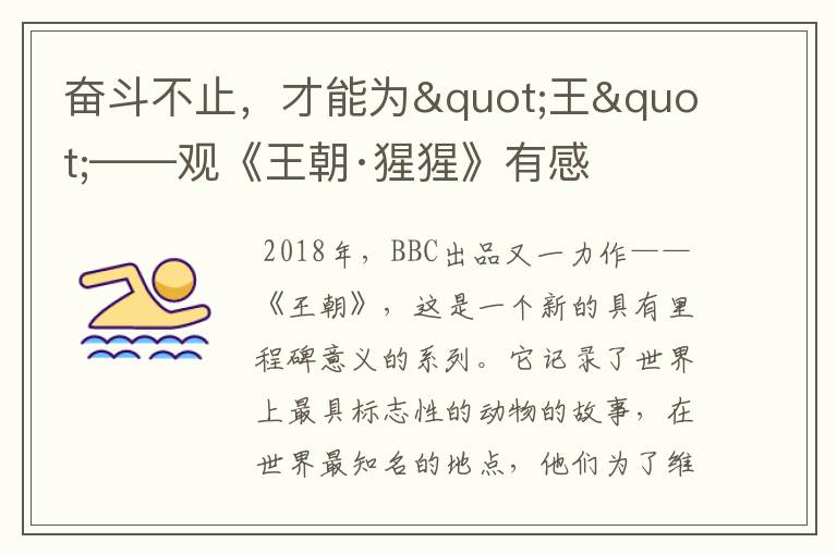 奋斗不止,才能为"王"——观《王朝·猩猩》有感