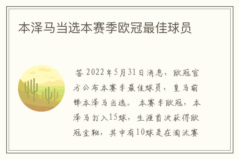 本泽马当选本赛季欧冠最佳球员