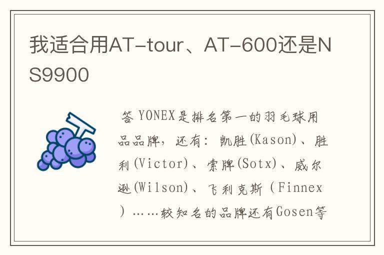 我适合用AT-tour、AT-600还是NS9900