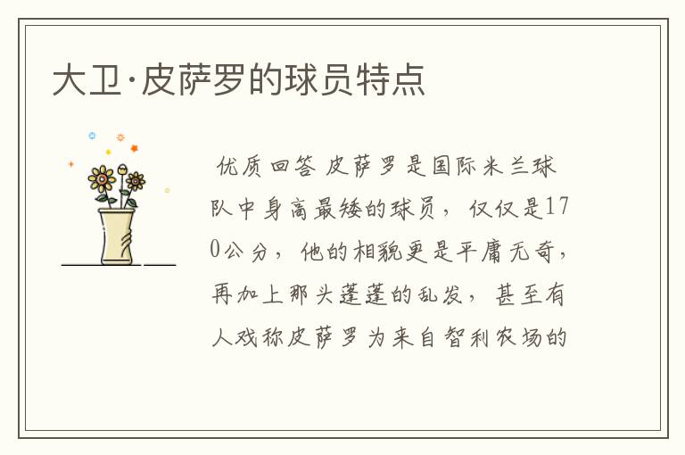 大卫·皮萨罗的球员特点