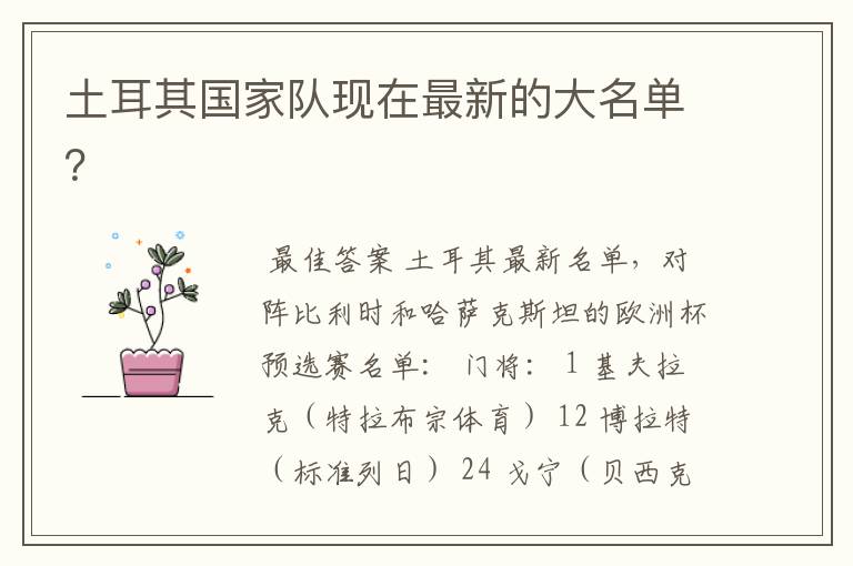 土耳其国家队现在最新的大名单?