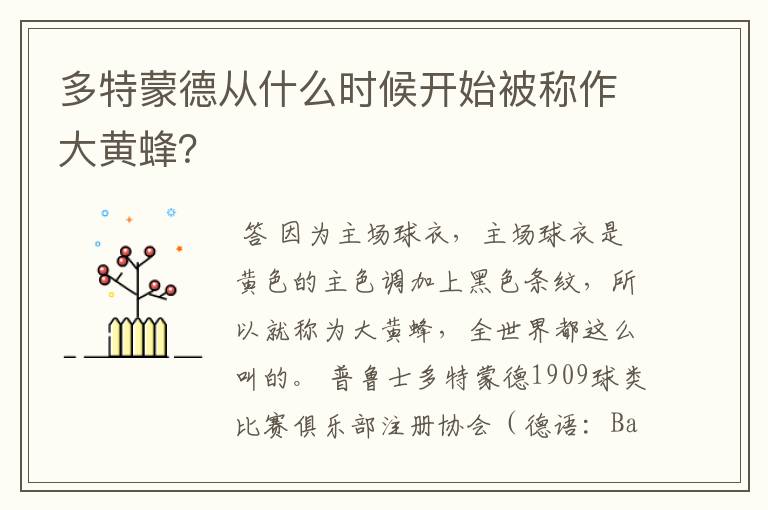 多特蒙德从什么时候开始被称作大黄蜂?