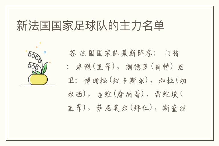 新法国国家足球队的主力名单