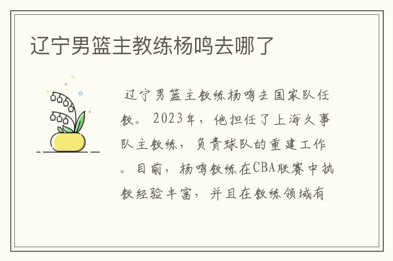 辽宁男篮主教练杨鸣去哪了