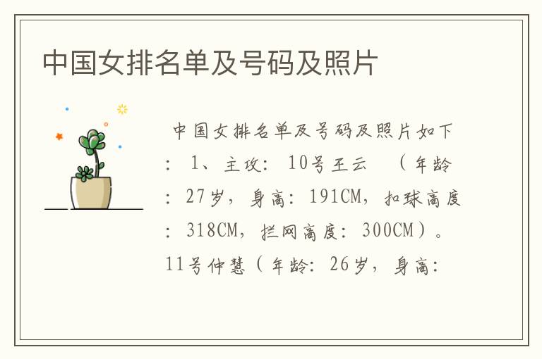 中国女排名单及号码及照片