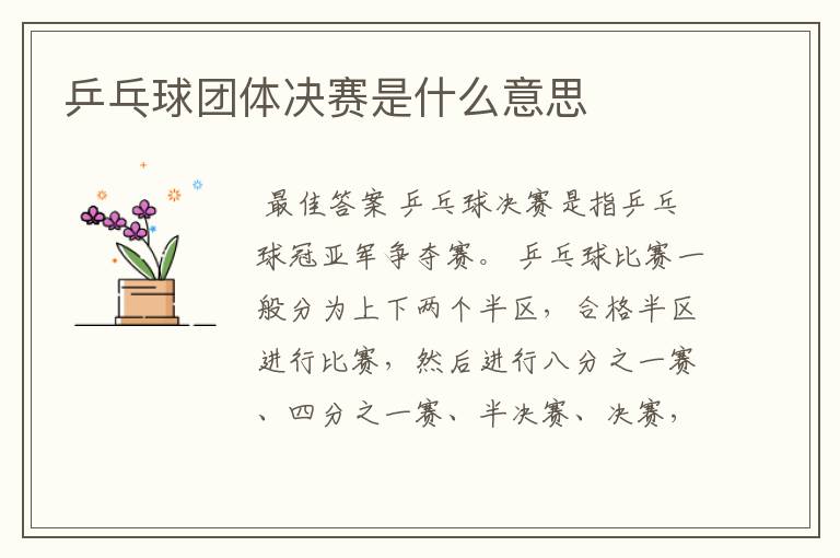 乒乓球团体决赛是什么意思