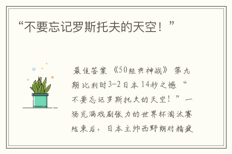 “不要忘记罗斯托夫的天空！”