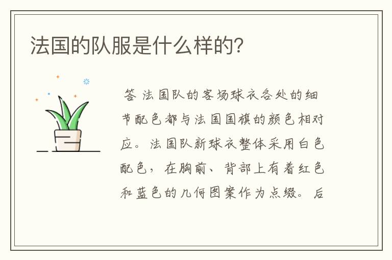 法国的队服是什么样的?