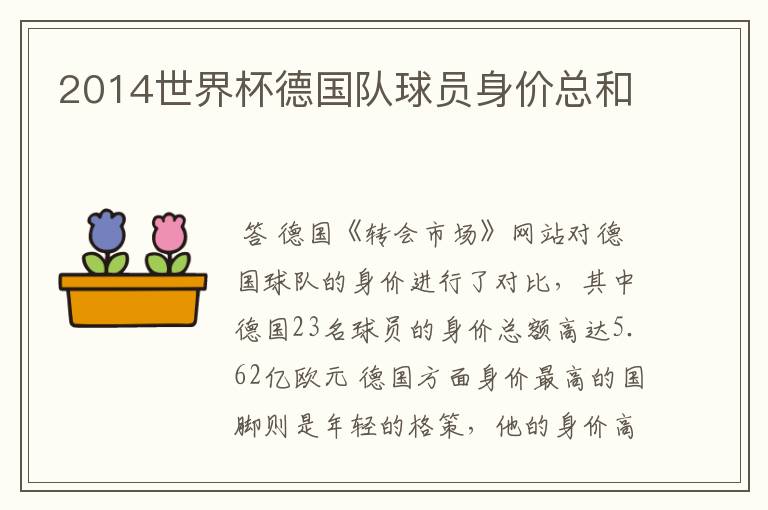 2014世界杯德国队球员身价总和