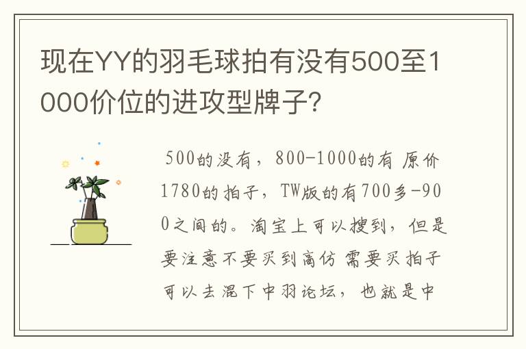 现在YY的羽毛球拍有没有500至1000价位的进攻型牌子?