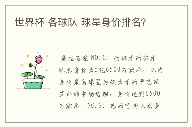 世界杯 各球队 球星身价排名?
