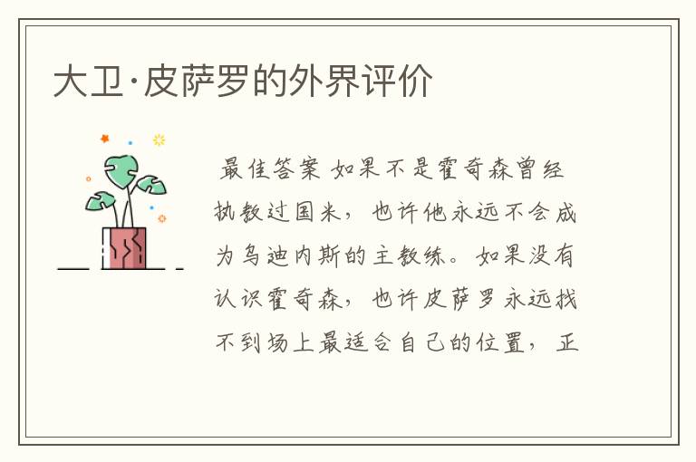 大卫·皮萨罗的外界评价