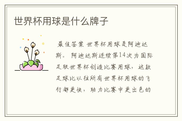 世界杯用球是什么牌子