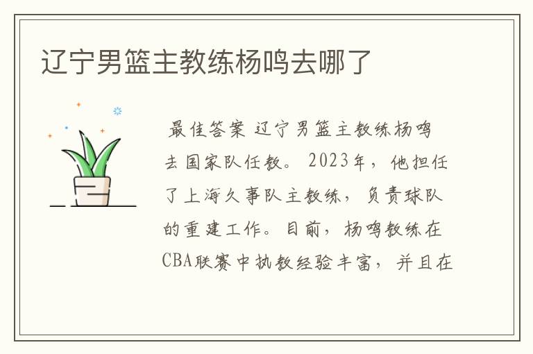 辽宁男篮主教练杨鸣去哪了