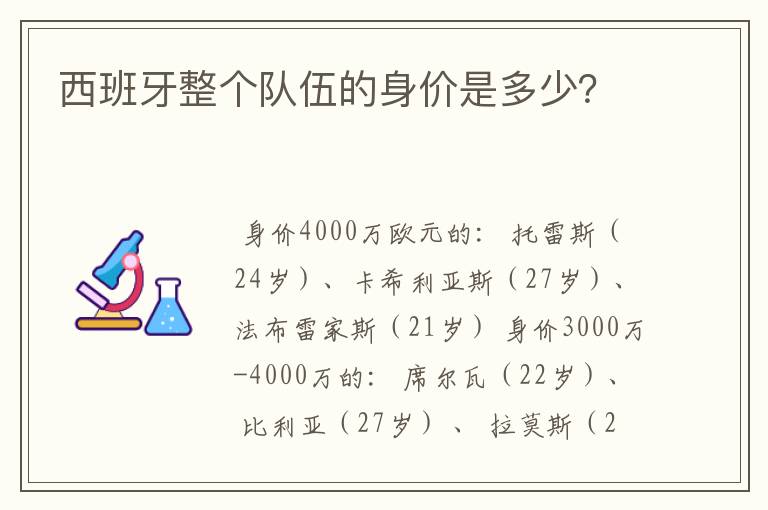 西班牙整个队伍的身价是多少?